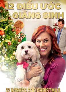 12 Điều Ước Giáng Sinh - 12 Wishes For Christmas - (2011) - PhimMoi2024 - Website xem phim miễn phí tốt nhất
