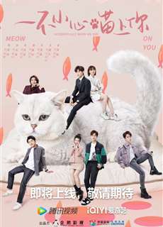 Bất Cẩn Meow Phải Anh - Accidentally Meow On You - (2022) - PhimMoi2024 - Website xem phim miễn phí tốt nhất