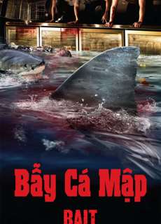 Bẫy Cá Mập - Bait - (2013) - PhimMoi2024 - Website xem phim miễn phí tốt nhất