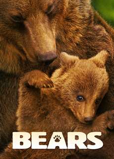 Bears - Bears - (2014) - PhimMoi2024 - Website xem phim miễn phí tốt nhất