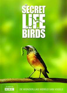 Bí ẩn cuộc sống loài chim - The Secret Life of Birds  - (2012) - PhimMoi2024 - Website xem phim miễn phí tốt nhất