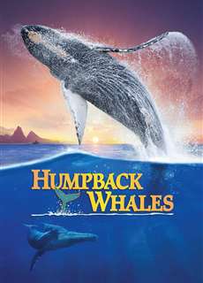  Cá Voi Lưng Gù - Humpback Whales - (2015) - PhimMoi2024 - Website xem phim miễn phí tốt nhất