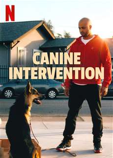 Cali K9: Trường huấn khuyển - Canine Intervention - (2021) - PhimMoi2024 - Website xem phim miễn phí tốt nhất