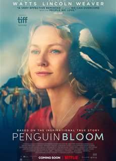 Cánh Cụt nhà Bloom - Penguin Bloom - (2021) - PhimMoi2024 - Website xem phim miễn phí tốt nhất