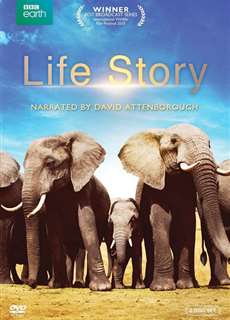 Câu Chuyện Cuộc Sống - Life Story - (2014) - PhimMoi2024 - Website xem phim miễn phí tốt nhất