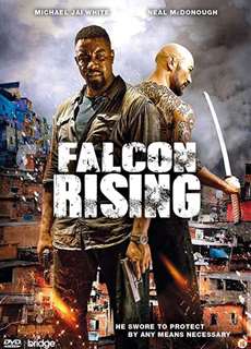 Chim Ưng Trỗi Dậy - Falcon Rising - (2014) - PhimMoi2024 - Website xem phim miễn phí tốt nhất