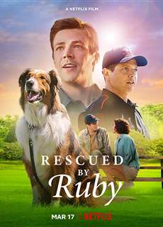 Chó cứu hộ Ruby - Rescued by Ruby - (2022) - PhimMoi2024 - Website xem phim miễn phí tốt nhất