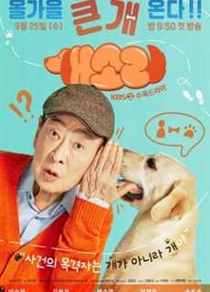 Chú Chó Biết Tuốt - Dog Knows Everything - (2024) - PhimMoi2024 - Website xem phim miễn phí tốt nhất