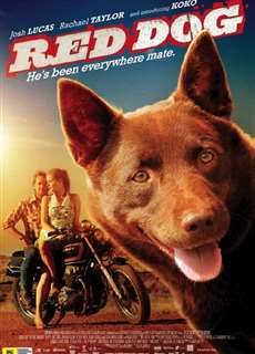 Chú Chó Đỏ - Red Dog - (2011) - PhimMoi2024 - Website xem phim miễn phí tốt nhất