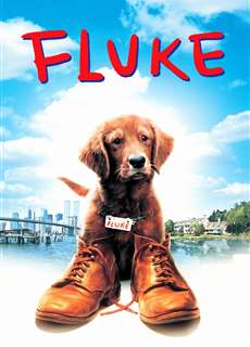 Chú Chó Fluke - Fluke - (1995) - PhimMoi2024 - Website xem phim miễn phí tốt nhất