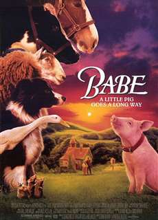 Chú Heo Chăn Cừu - Babe - (1995) - PhimMoi2024 - Website xem phim miễn phí tốt nhất