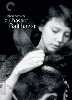 Chú Lừa Balthazar  - Au hasard Balthazar - (1966) - PhimMoi2024 - Website xem phim miễn phí tốt nhất