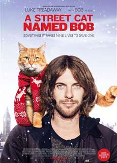 Chú Mèo Đường Phố - A Street Cat Named Bob - (2016) - PhimMoi2024 - Website xem phim miễn phí tốt nhất