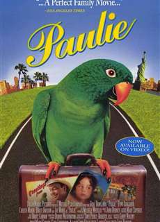 Chú Vẹt Paulie - Paulie - (1998) - PhimMoi2024 - Website xem phim miễn phí tốt nhất