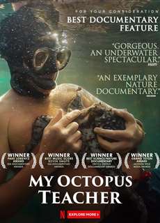 Cô giáo bạch tuộc - My Octopus Teacher - (2020) - Website xem phim miễn phí tốt nhất