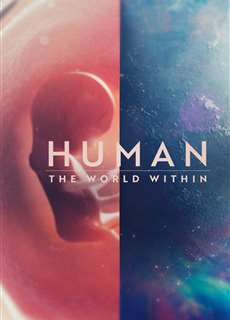 Con người: Thế giới bên trong cơ thể - Human: The World Within - (2021) - PhimMoi2024 - Website xem phim miễn phí tốt nhất