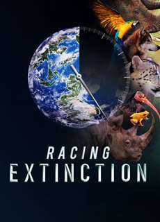 Cuộc Đua Tuyệt Chủng - Racing Extinction - (2015) - PhimMoi2024 - Website xem phim miễn phí tốt nhất