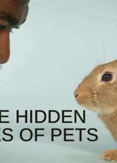 Cuộc sống bí mật của thú cưng - The Hidden Lives of Pets - (2022) - PhimMoi2024 - Website xem phim miễn phí tốt nhất