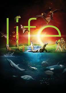Cuộc Sống Hoang Dã - BBC: Life - (2009) - PhimMoi2024 - Website xem phim miễn phí tốt nhất