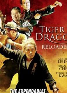 Đả Lôi Đài - Tiger and Dragon Reloaded - (2010) - PhimMoi2024 - Website xem phim miễn phí tốt nhất