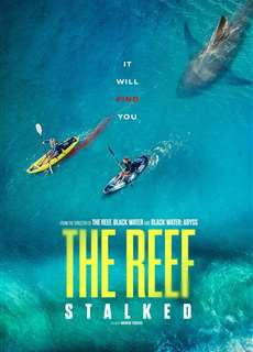 Đá Ngầm: Kẻ Theo Dõi - The Reef: Stalked - (2022) - PhimMoi2024 - Website xem phim miễn phí tốt nhất