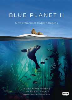 Đại Dương Sâu Thẳm 2 - The Blue Planet 2 - (2015) - PhimMoi2024 - Website xem phim miễn phí tốt nhất