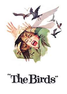 Đàn Chim Dữ - The Birds - (1963) - PhimMoi2024 - Website xem phim miễn phí tốt nhất