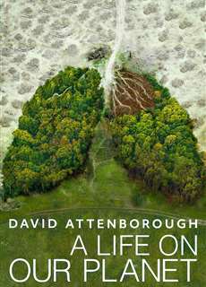 David Attenborough: Một cuộc đời trên Trái Đất - David Attenborough: A Life on Our Planet - (2020) - PhimMoi2024 - Website xem phim miễn phí tốt nhất