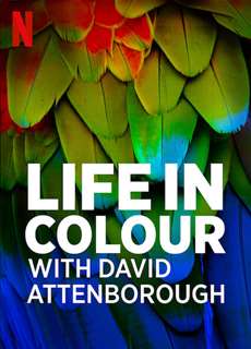 David Attenborough: Sự sống đầy màu sắc - Life in Colour with David Attenborough - (2021) - PhimMoi2024 - Website xem phim miễn phí tốt nhất