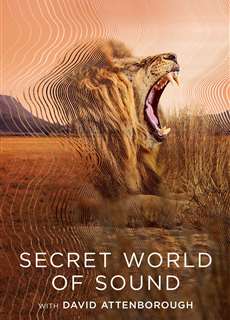 David Attenborough: Thế giới bí mật của âm thanh - Secret World of Sound - (2024) - PhimMoi2024 - Website xem phim miễn phí tốt nhất