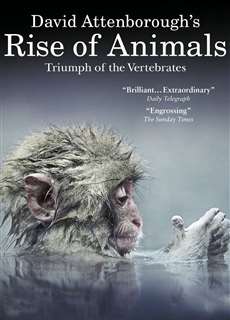 David Attenborough's Rise of Animals: Triumph of the Vertebrates - David Attenborough's Rise of Animals: Triumph of the Vertebrates - (2013) - PhimMoi2024 - Website xem phim miễn phí tốt nhất