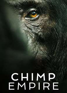 Đế chế tinh tinh - Chimp Empire - (2023) - PhimMoi2024 - Website xem phim miễn phí tốt nhất