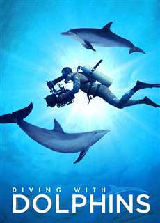 Diving with Dolphins - Diving with Dolphins - (2020) - PhimMoi2024 - Website xem phim miễn phí tốt nhất