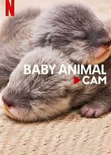 Động vật bé cưng trên camera - Baby Animal Cam - (2023) - PhimMoi2024 - Website xem phim miễn phí tốt nhất