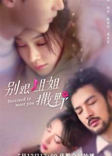 Đừng Nhờn Với Chị - Destined to Meet You - (2022) - PhimMoi2024 - Website xem phim miễn phí tốt nhất