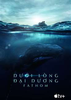 Dưới Lòng Đại Dương - Fathom - Fathom - (2021) - PhimMoi2024 - Website xem phim miễn phí tốt nhất