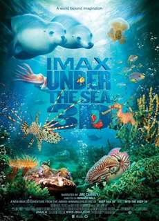 Dưới Lòng Đại Dương - Under the Sea 3D - (2009) - PhimMoi2024 - Website xem phim miễn phí tốt nhất