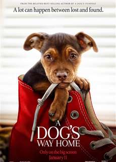 Đường Về Nhà Của Cún Con - A Dog's Way Home - (2019) - PhimMoi2024 - Website xem phim miễn phí tốt nhất