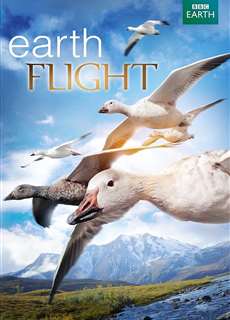 Earthflight - Earthflight - (2011) - PhimMoi2024 - Website xem phim miễn phí tốt nhất