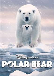 Gấu Bắc Cực - Polar Bear - (2022) - PhimMoi2024 - Website xem phim miễn phí tốt nhất