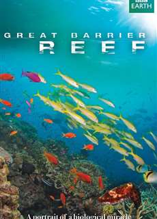 Great Barrier Reef - Great Barrier Reef - (2012) - PhimMoi2024 - Website xem phim miễn phí tốt nhất