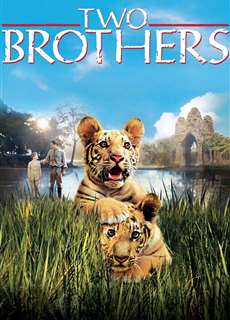 Hai Anh Em Hổ - Two Brothers - (2004) - PhimMoi2024 - Website xem phim miễn phí tốt nhất