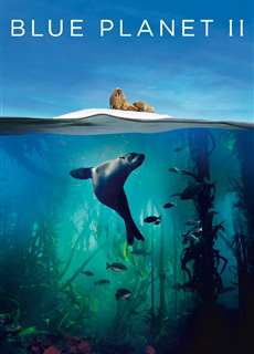 Hành Tinh Màu Xanh Dương 2 - Blue Planet II - (2017) - PhimMoi2024 - Website xem phim miễn phí tốt nhất