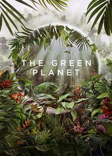 Hành Tinh Xanh - The Green Planet - (2022) - PhimMoi2024 - Website xem phim miễn phí tốt nhất