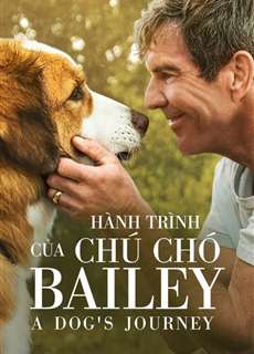 Hành Trình Của Chú Chó Bailey - A Dog's Journey - (2019) - Website xem phim miễn phí tốt nhất