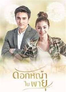 Hoa Cỏ Lau Trong Bão - Grass Flower In The Storm - (2018) - PhimMoi2024 - Website xem phim miễn phí tốt nhất