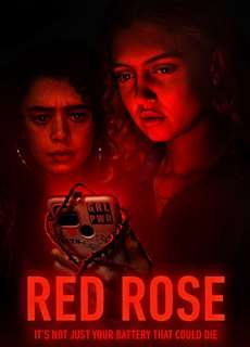 Hoa hồng đỏ - Red Rose - (2023) - PhimMoi2024 - Website xem phim miễn phí tốt nhất