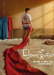 Hoa Nở Trên Cát - The Sand Flower - (2023) - PhimMoi2024 - Website xem phim miễn phí tốt nhất