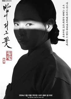Hoa Nở Về Đêm - Knight Flower - (2024) - PhimMoi2024 - Website xem phim miễn phí tốt nhất