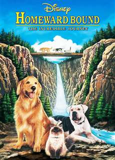 Homeward Bound: The Incredible Journey - Homeward Bound: The Incredible Journey - (1993) - PhimMoi2024 - Website xem phim miễn phí tốt nhất
